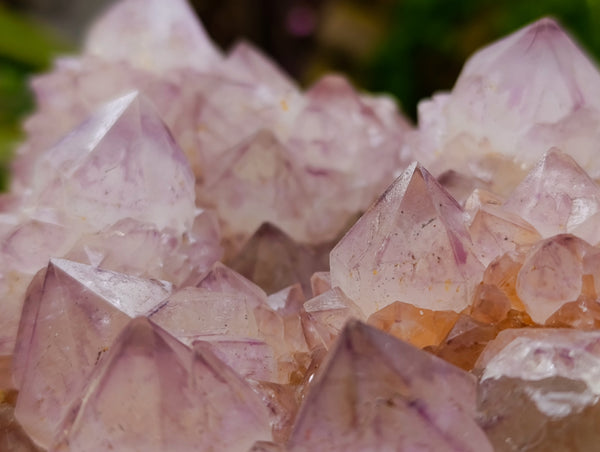 Natural Dark Amethyst Spirit Quartz Clusters x 1 From Boekenhouthoek, South Africa