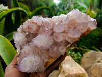 Natural Dark Amethyst Spirit Quartz Clusters x 1 From Boekenhouthoek, South Africa