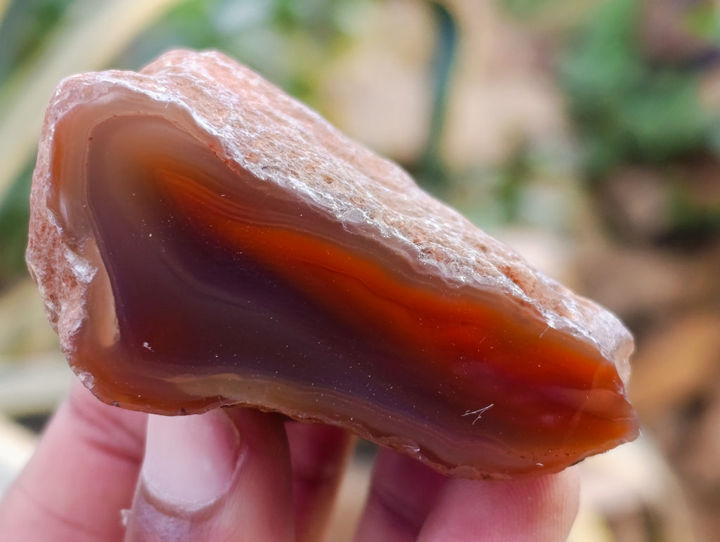 Polished On One Side Red Sashe River Agate Nodules x 24 From Zimbabwe - Toprock Gemstones and Minerals 