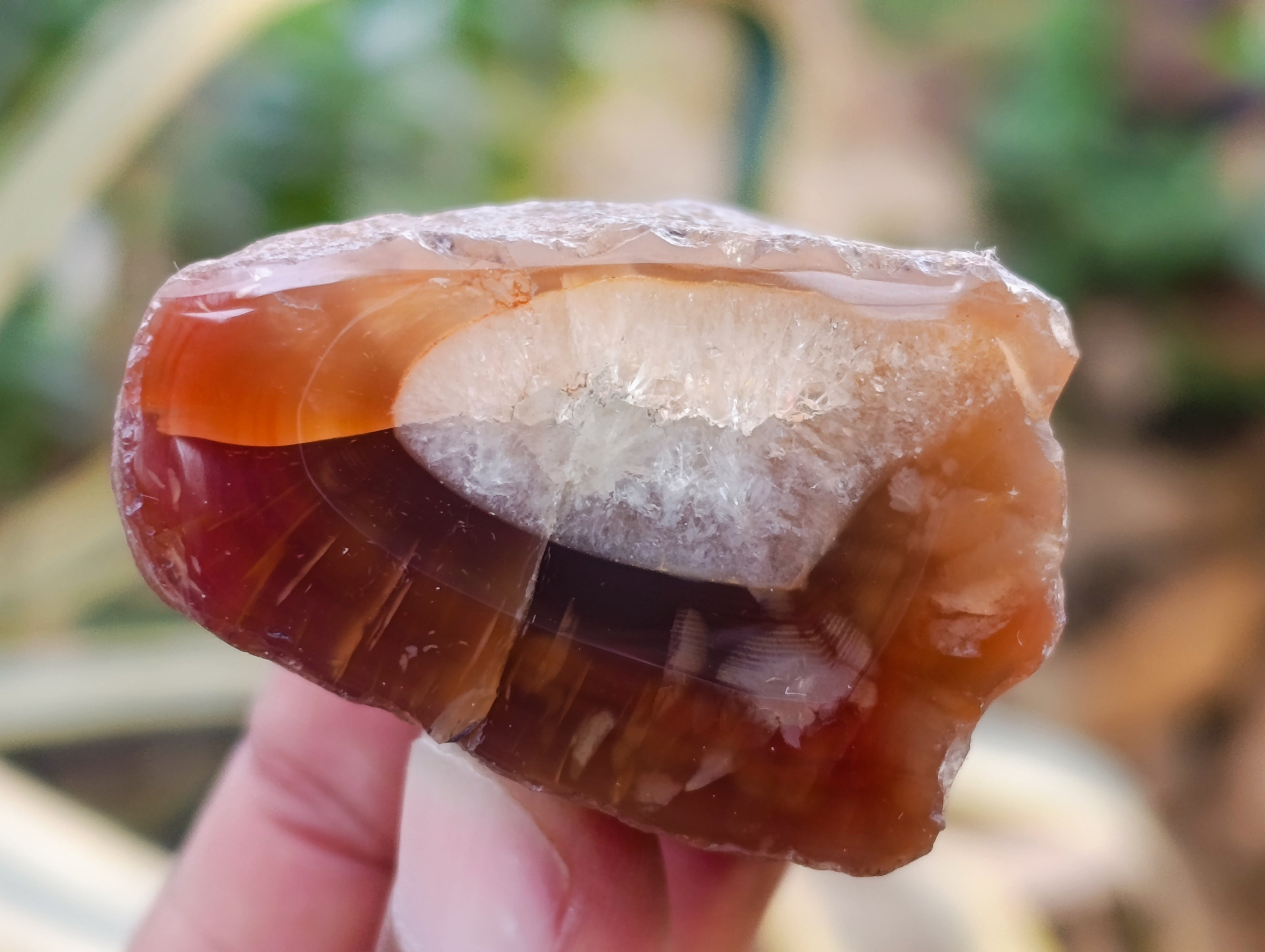 Polished On One Side Red Sashe River Agate Nodules x 24 From Zimbabwe - Toprock Gemstones and Minerals 