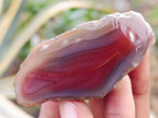 Polished On One Side Red Sashe River Agate Nodules x 24 From Zimbabwe - Toprock Gemstones and Minerals 