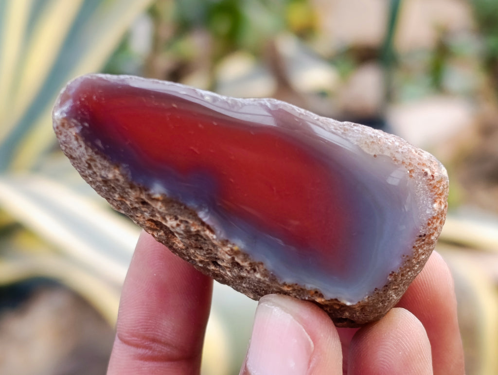 Polished On One Side Red Sashe River Agate Nodules x 24 From Zimbabwe - Toprock Gemstones and Minerals 