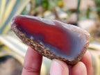 Polished On One Side Red Sashe River Agate Nodules x 24 From Zimbabwe - Toprock Gemstones and Minerals 