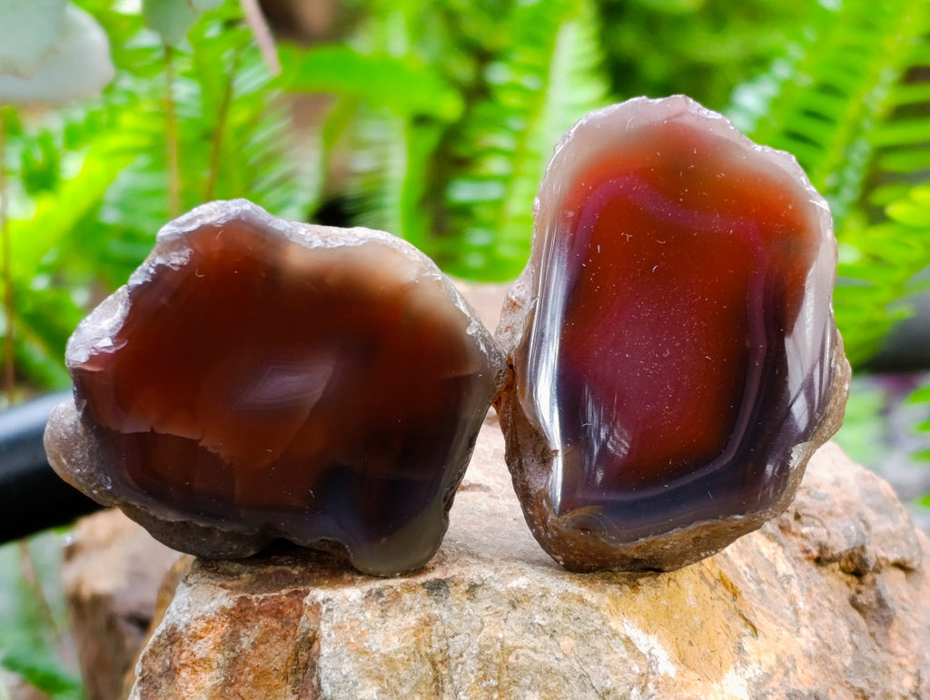 Polished On One Side Red Sashe River Agate Nodules x 24 From Zimbabwe - Toprock Gemstones and Minerals 