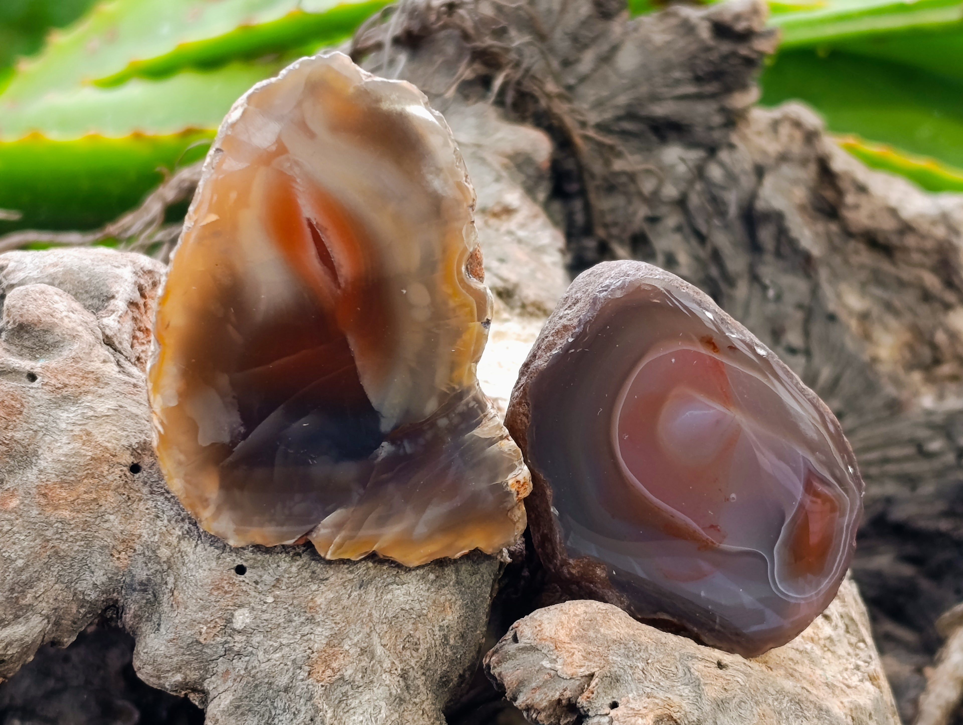 Polished On One Side Red Sashe River Agate Nodules x 24 From Zimbabwe - Toprock Gemstones and Minerals 