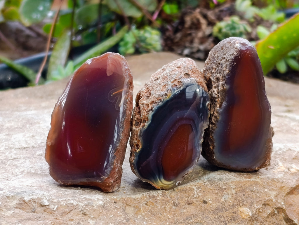 Polished On One Side Red Sashe River Agate Nodules x 24 From Zimbabwe - Toprock Gemstones and Minerals 