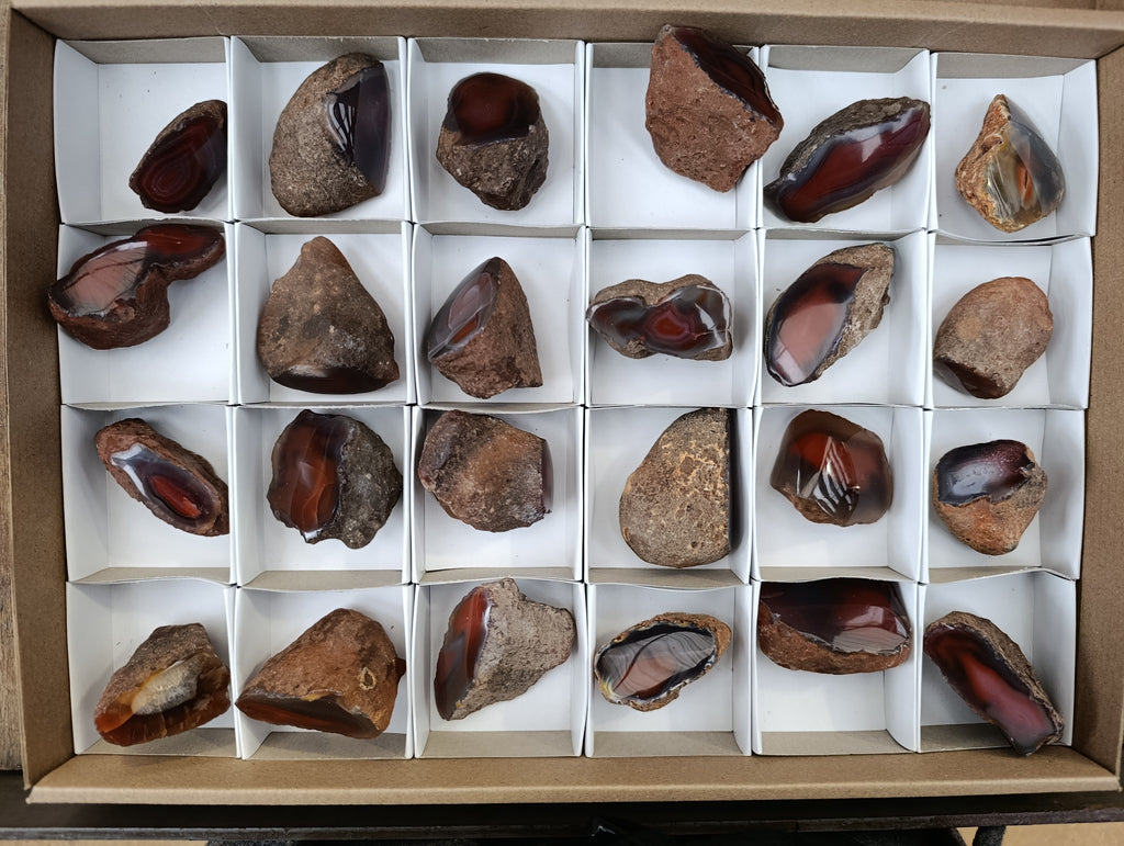 Polished On One Side Red Sashe River Agate Nodules x 24 From Zimbabwe - Toprock Gemstones and Minerals 