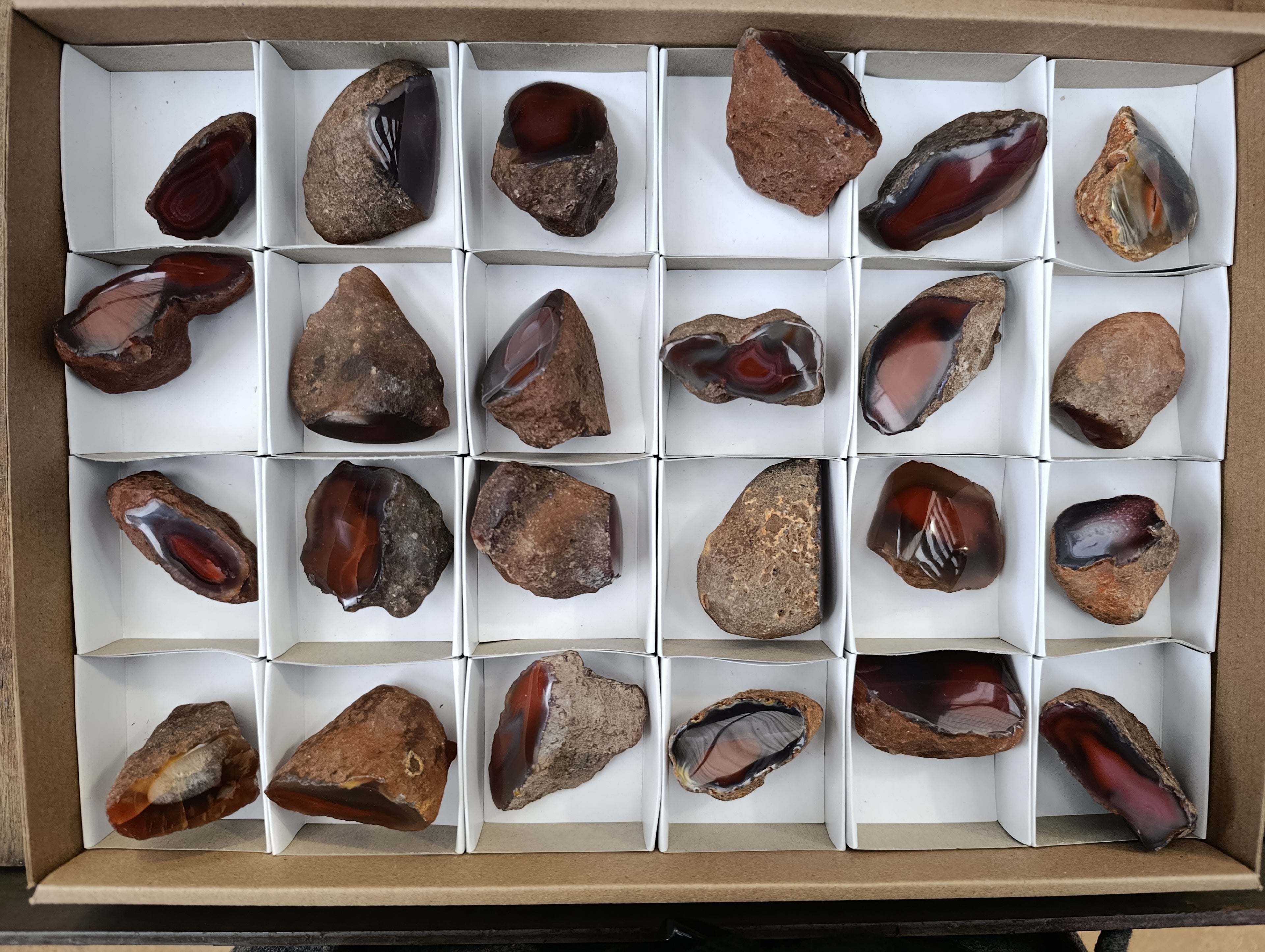 Polished On One Side Red Sashe River Agate Nodules x 24 From Zimbabwe - Toprock Gemstones and Minerals 