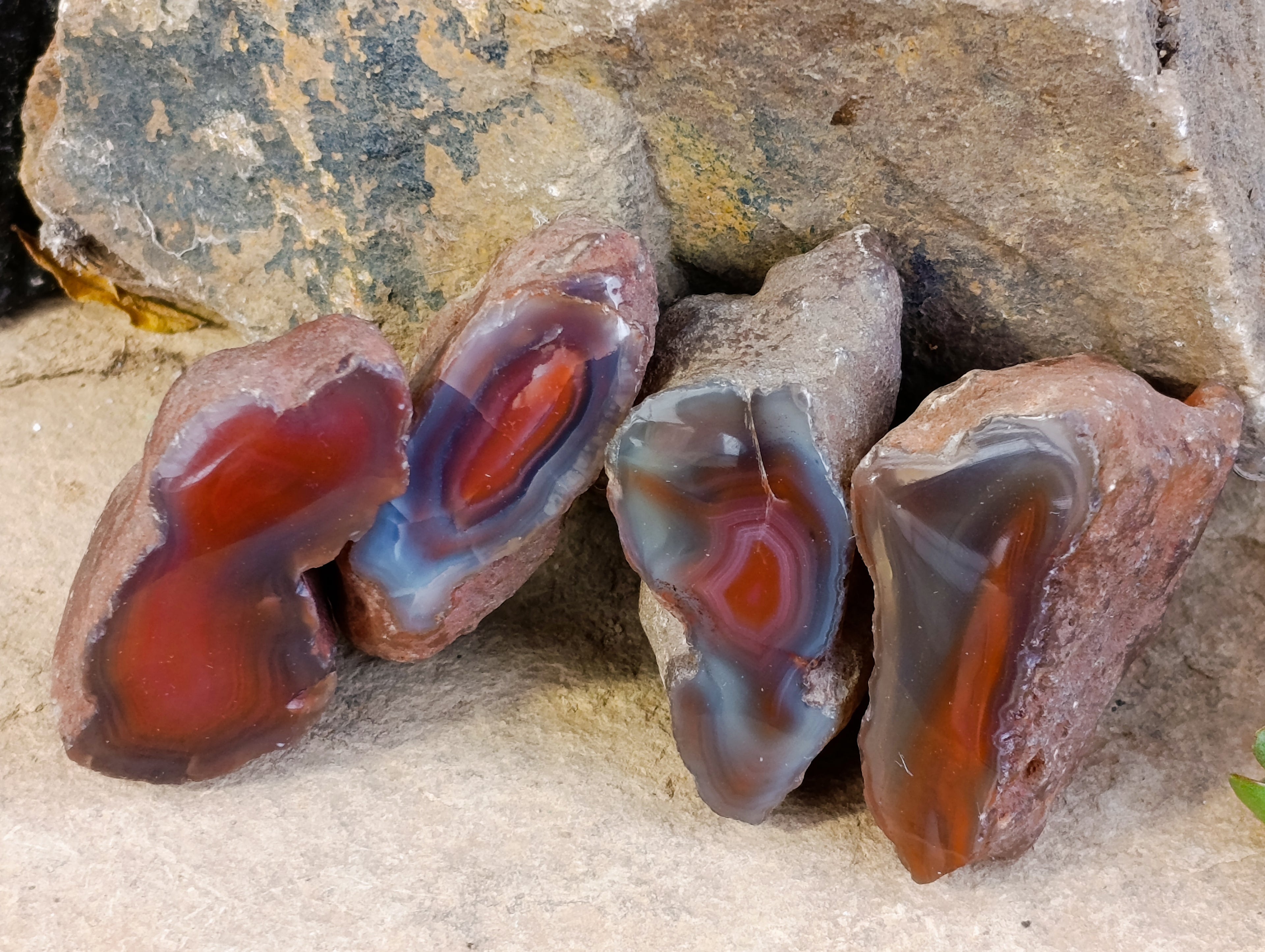 Polished On One Side Red Sashe River Agate Nodules x 24 From Zimbabwe - Toprock Gemstones and Minerals 