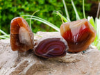 Polished On One Side Red Sashe River Agate Nodules x 24 From Zimbabwe - Toprock Gemstones and Minerals 
