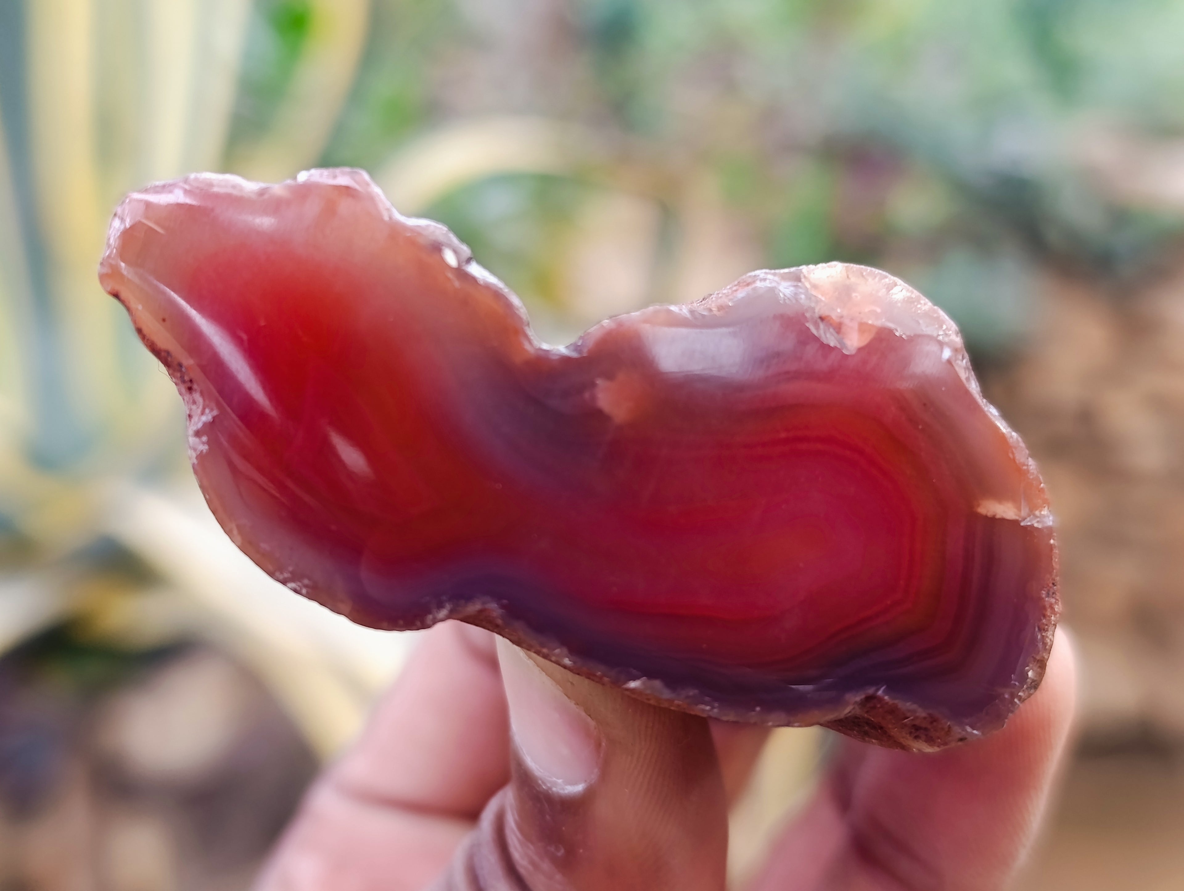 Polished On One Side Red Sashe River Agate Nodules x 24 From Zimbabwe - Toprock Gemstones and Minerals 