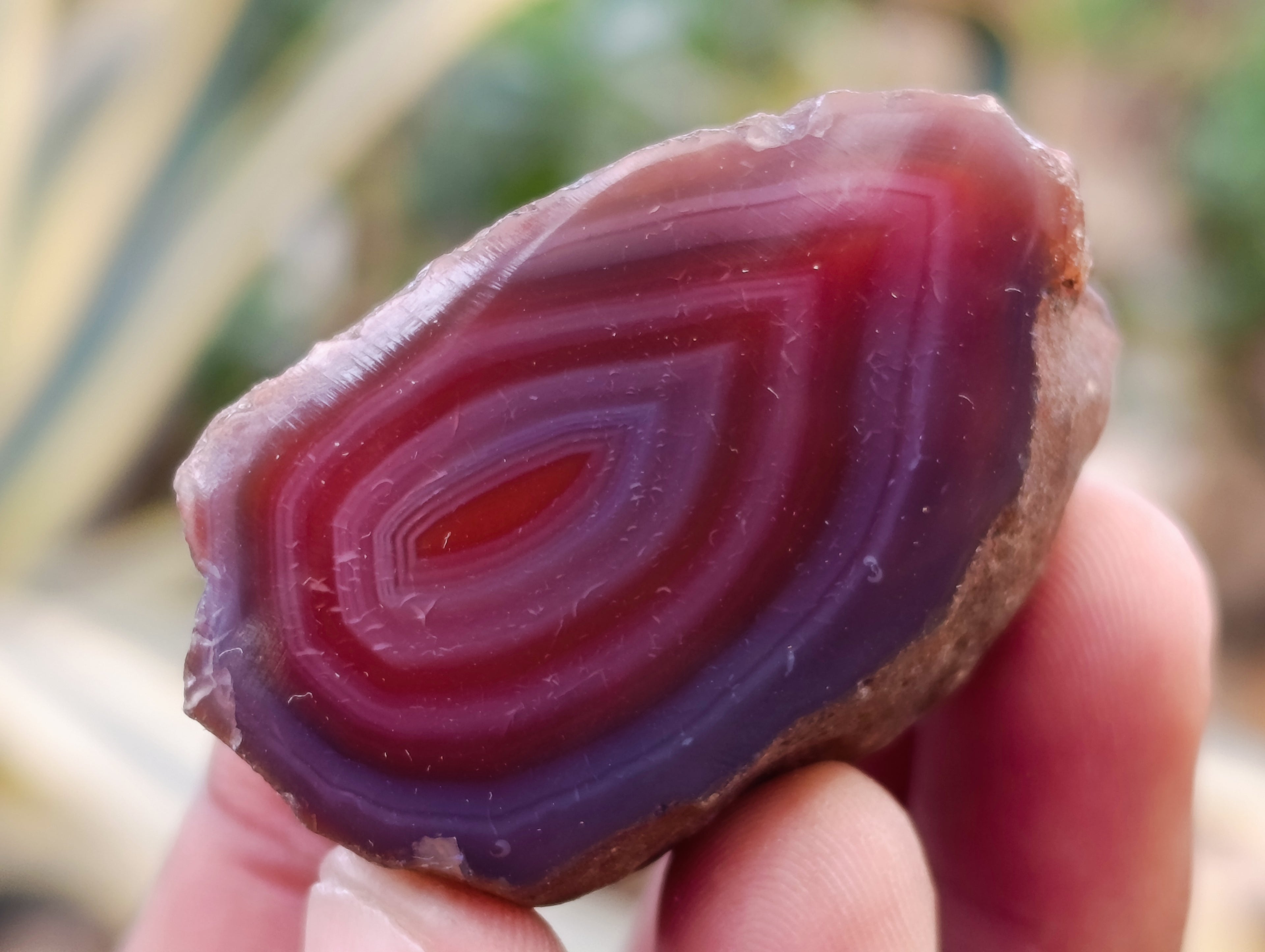 Polished On One Side Red Sashe River Agate Nodules x 24 From Zimbabwe - Toprock Gemstones and Minerals 