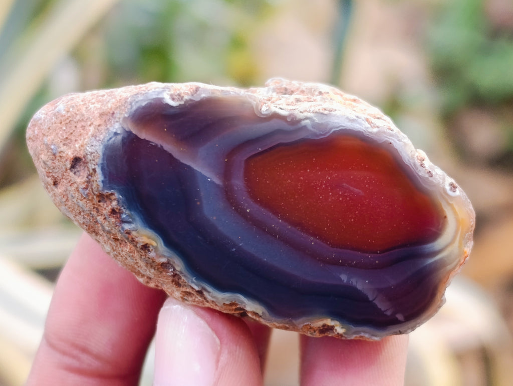 Polished On One Side Red Sashe River Agate Nodules x 24 From Zimbabwe - Toprock Gemstones and Minerals 