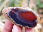 Polished On One Side Red Sashe River Agate Nodules x 24 From Zimbabwe - Toprock Gemstones and Minerals 