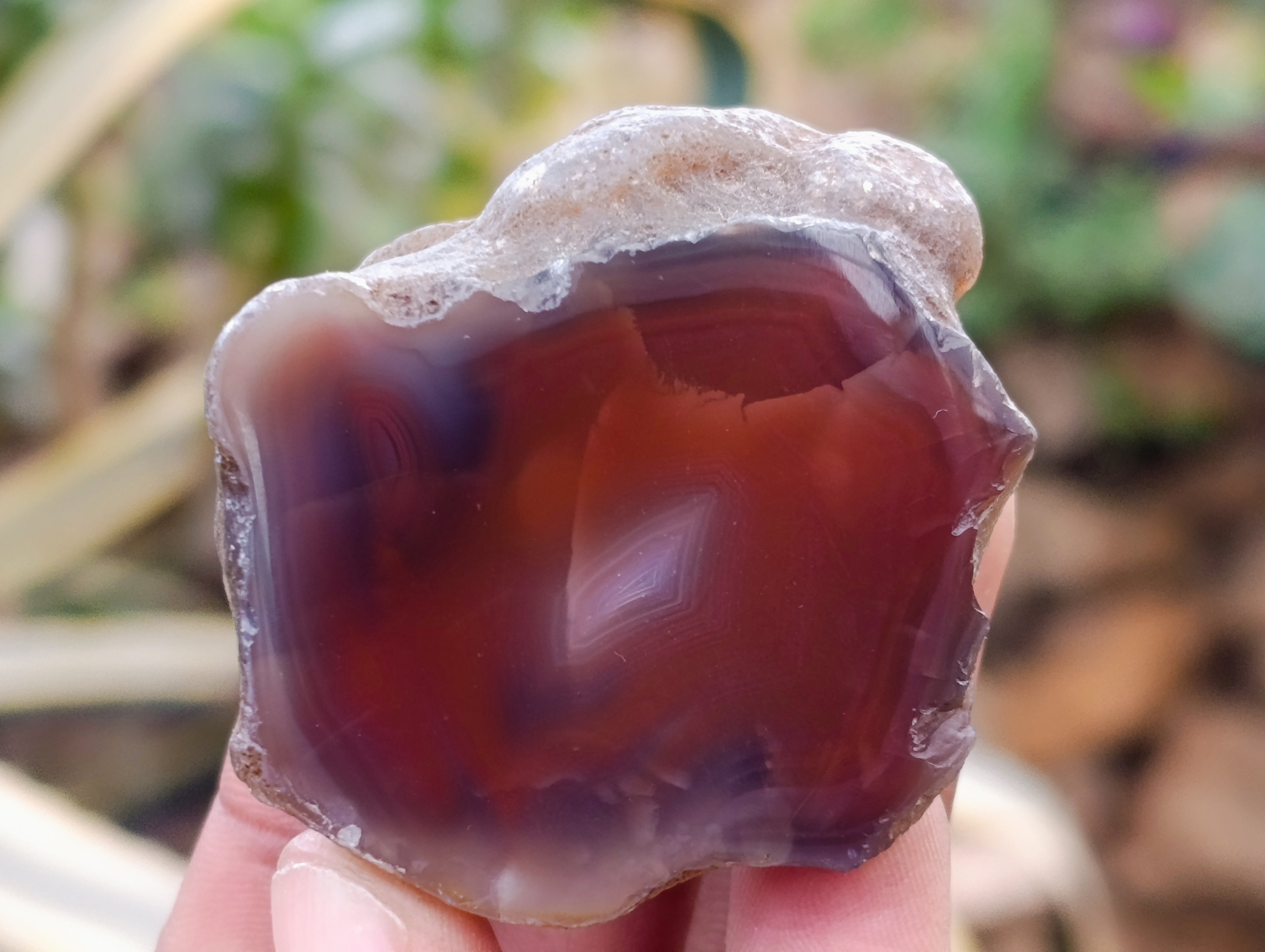 Polished On One Side Red Sashe River Agate Nodules x 24 From Zimbabwe - Toprock Gemstones and Minerals 
