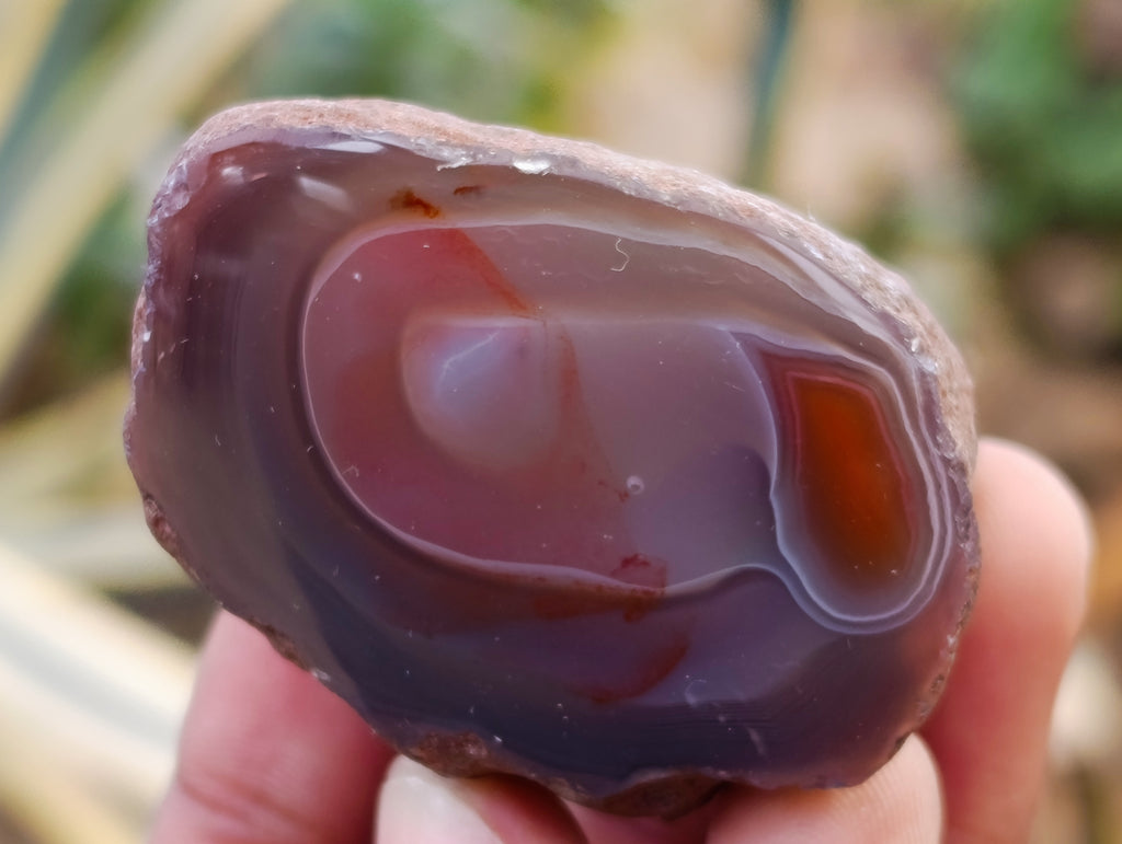 Polished On One Side Red Sashe River Agate Nodules x 24 From Zimbabwe - Toprock Gemstones and Minerals 