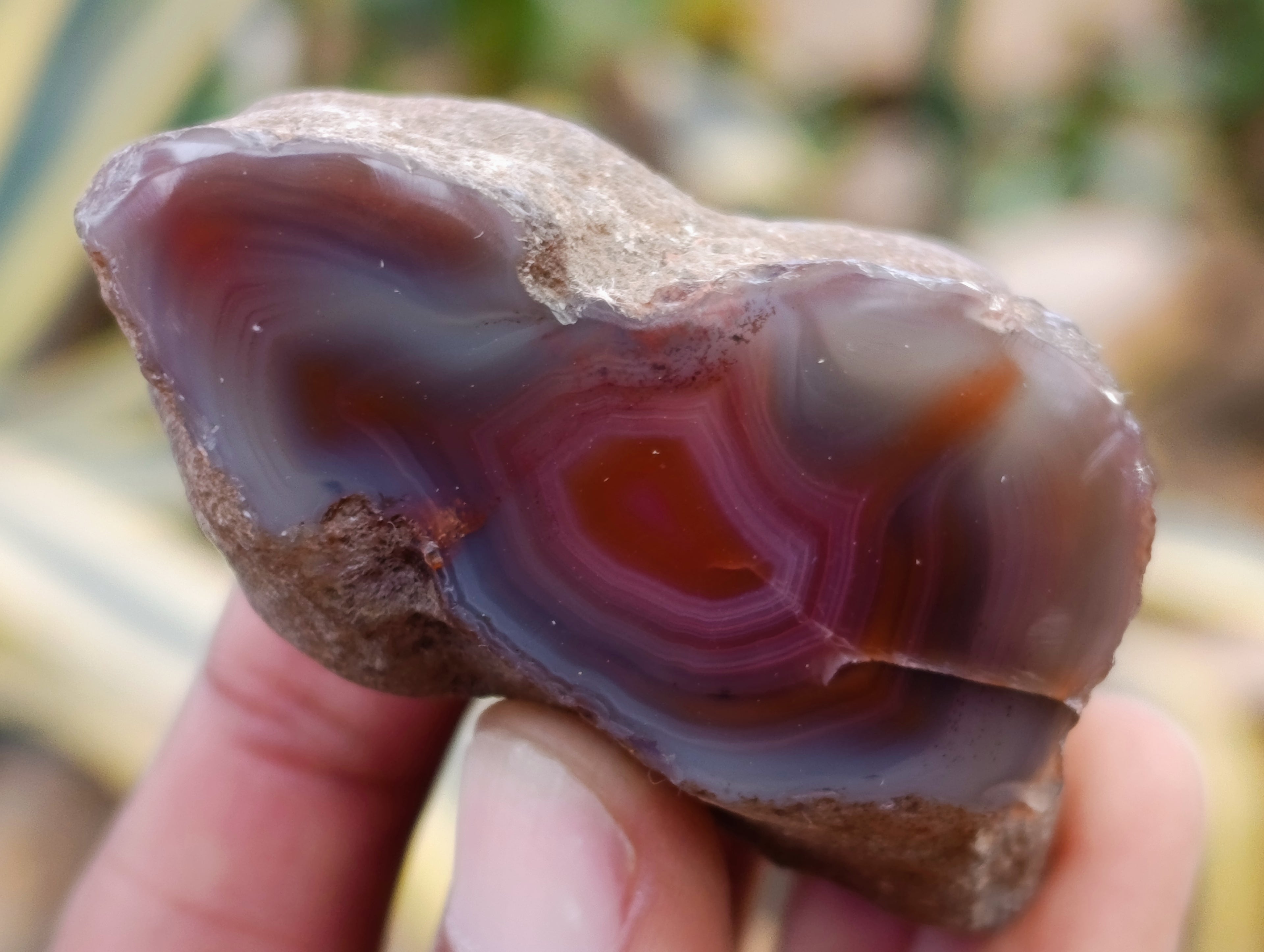 Polished On One Side Red Sashe River Agate Nodules x 24 From Zimbabwe - Toprock Gemstones and Minerals 
