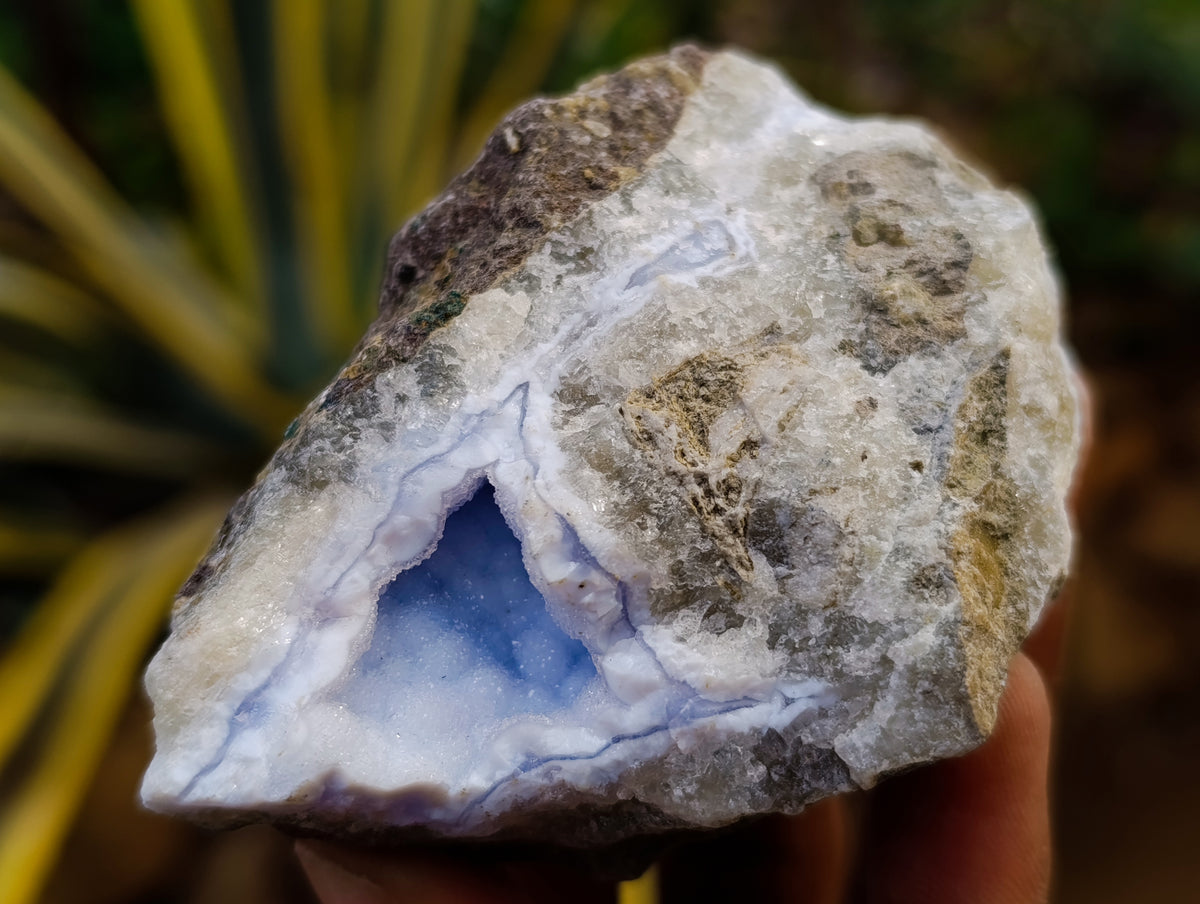 Natural Blue Lace Agate Geode Specimens x 12 From Nsanje, Malawi - Toprock Gemstones and Minerals 