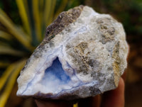 Natural Blue Lace Agate Geode Specimens x 12 From Nsanje, Malawi