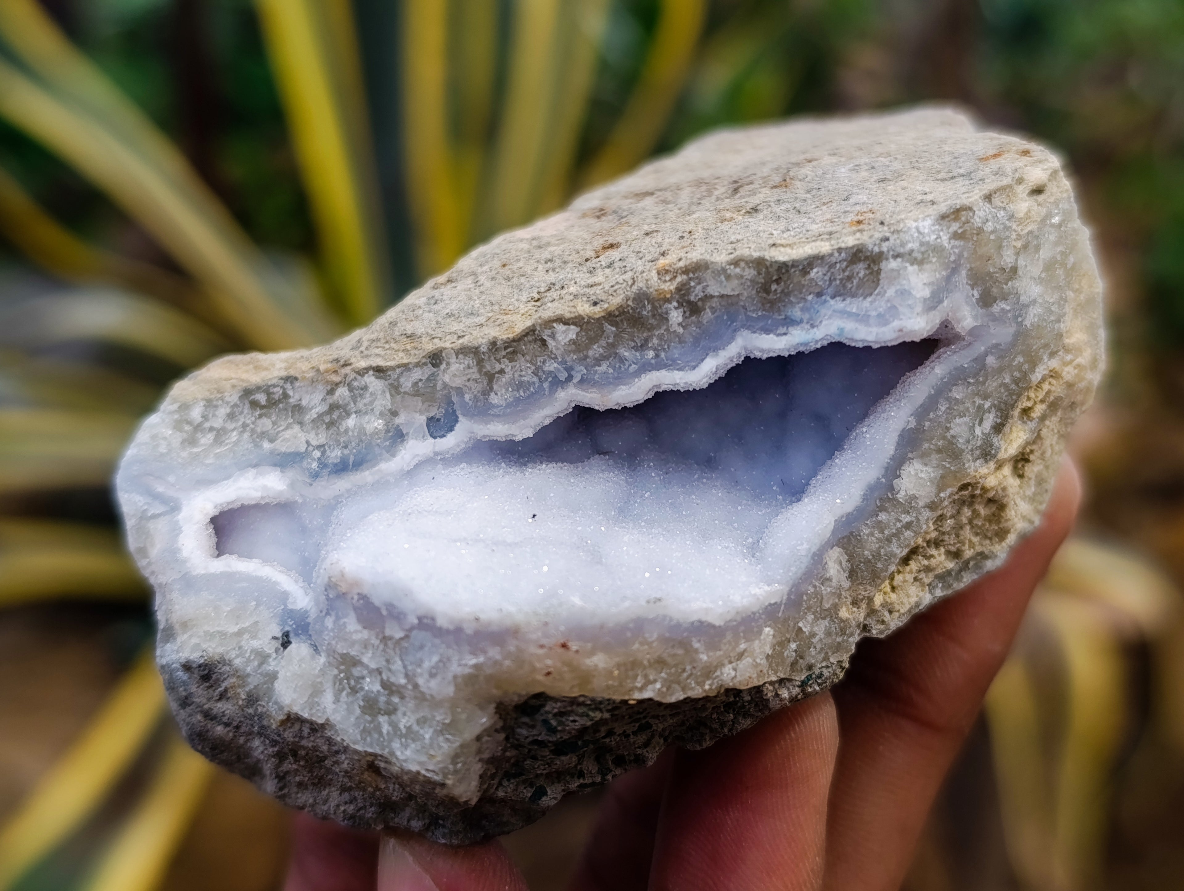 Natural Blue Lace Agate Geode Specimens x 12 From Nsanje, Malawi - Toprock Gemstones and Minerals 