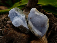 Natural Blue Lace Agate Geode Specimens x 12 From Nsanje, Malawi