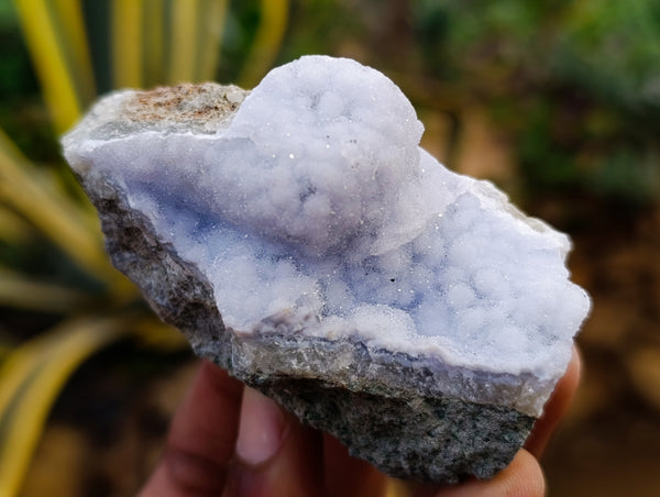 Natural Blue Lace Agate Geode Specimens x 12 From Nsanje, Malawi