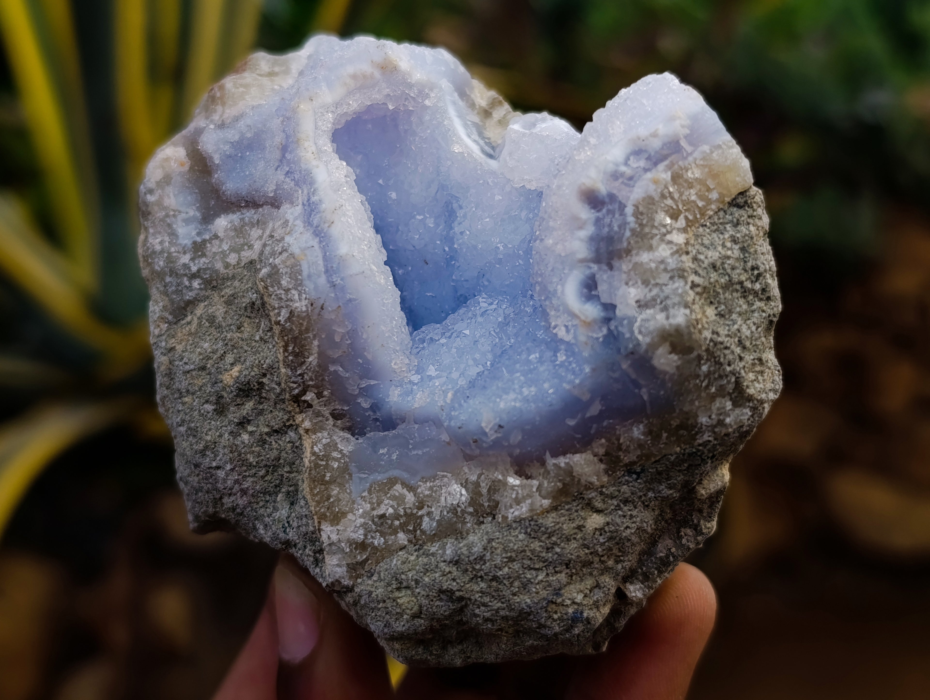 Natural Blue Lace Agate Geode Specimens x 12 From Nsanje, Malawi - Toprock Gemstones and Minerals 