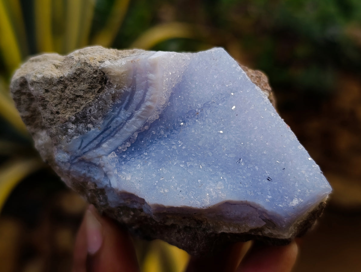 Natural Blue Lace Agate Geode Specimens x 12 From Nsanje, Malawi - Toprock Gemstones and Minerals 