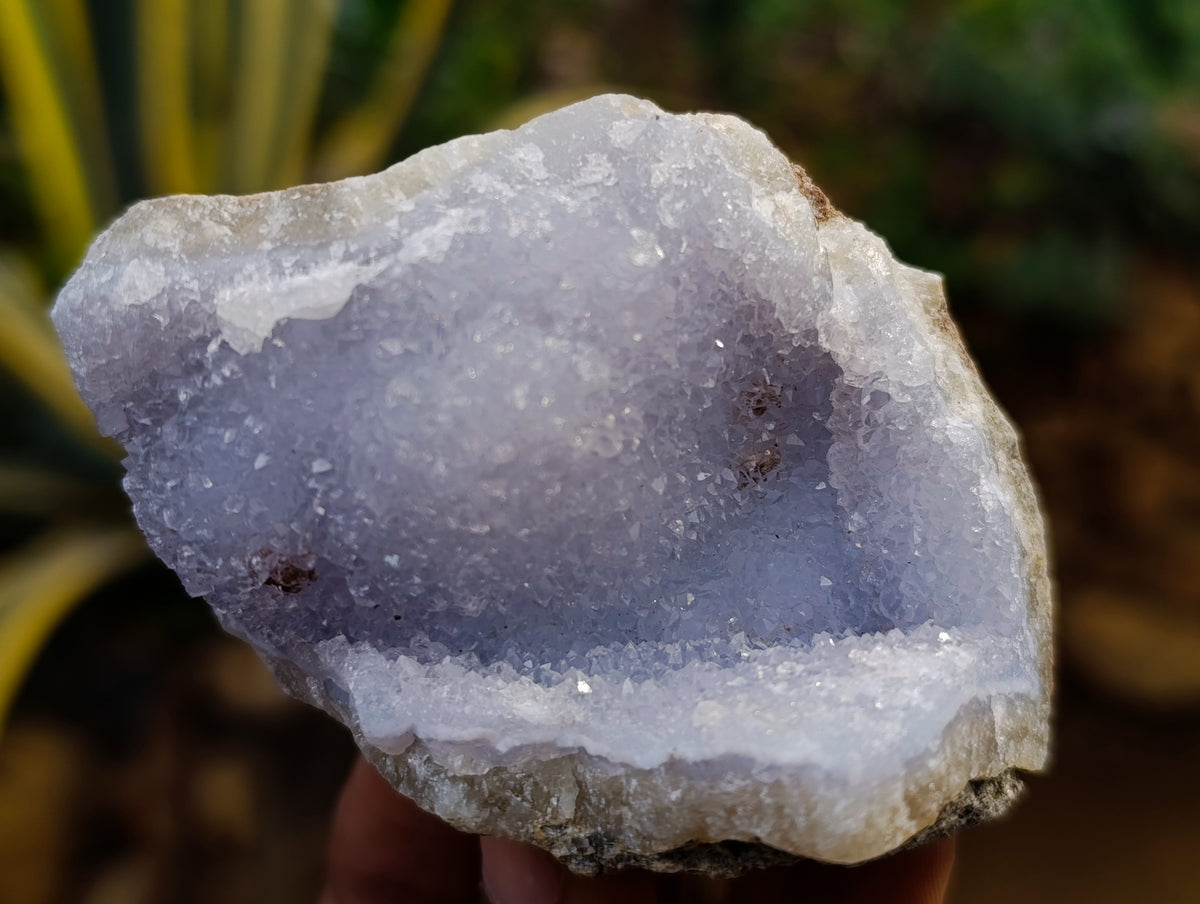 Natural Blue Lace Agate Geode Specimens x 12 From Nsanje, Malawi - Toprock Gemstones and Minerals 