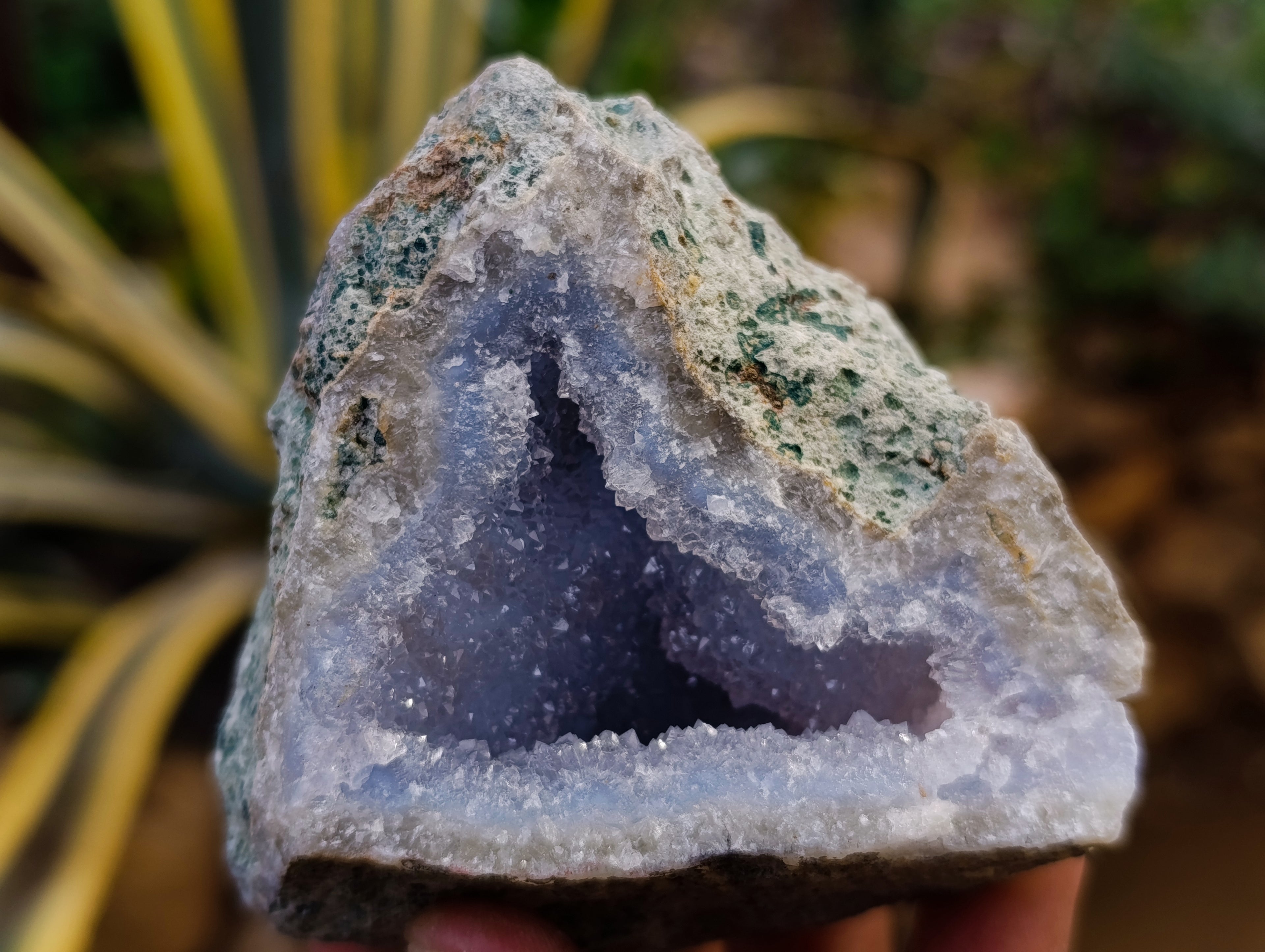 Natural Blue Lace Agate Geode Specimens x 12 From Nsanje, Malawi - Toprock Gemstones and Minerals 