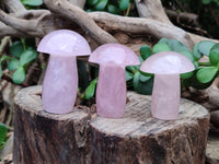Polished Rose Quartz Mushrooms x 12 From Ambatondrazaka, Madagascar