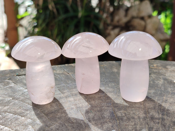 Polished Rose Quartz Mushrooms x 12 From Ambatondrazaka, Madagascar