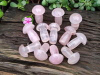 Polished Rose Quartz Mushrooms x 12 From Ambatondrazaka, Madagascar