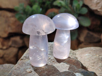 Polished Rose Quartz Mushrooms x 12 From Ambatondrazaka, Madagascar