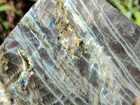 Polished On One Side Purple Flash Labradorite Plates x 3 From Tulear, Madagascar