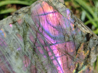 Polished On One Side Purple Flash Labradorite Plates x 3 From Tulear, Madagascar