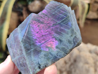 Polished On One Side Purple Flash Labradorite Plates x 3 From Tulear, Madagascar