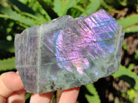 Polished On One Side Purple Flash Labradorite Plates x 3 From Tulear, Madagascar