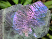 Polished On One Side Purple Flash Labradorite Plates x 3 From Tulear, Madagascar