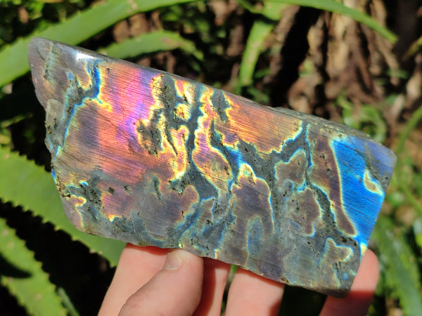 Polished On One Side Purple Flash Labradorite Plates x 3 From Tulear, Madagascar