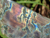 Polished On One Side Purple Flash Labradorite Plates x 3 From Tulear, Madagascar