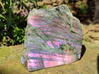Polished On One Side Purple Flash Labradorite Plates x 3 From Tulear, Madagascar