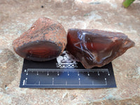 Polished On One Side Red Sashe River Agate Nodules x 12 From Zimbabwe