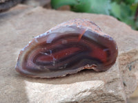 Polished On One Side Red Sashe River Agate Nodules x 12 From Zimbabwe