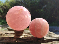 Polished Star Rose Quartz Spheres x 2 From Ambatondrazaka, Madagascar