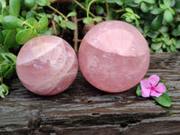 Polished Star Rose Quartz Spheres x 2 From Ambatondrazaka, Madagascar