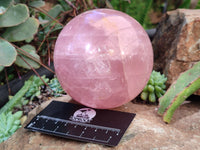 Polished Star Rose Quartz Spheres x 2 From Ambatondrazaka, Madagascar