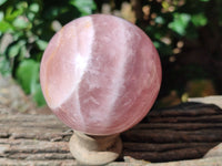 Polished Star Rose Quartz Spheres x 2 From Ambatondrazaka, Madagascar
