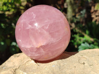 Polished Star Rose Quartz Spheres x 2 From Ambatondrazaka, Madagascar