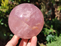 Polished Star Rose Quartz Spheres x 2 From Ambatondrazaka, Madagascar
